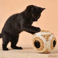 1件猫咪逗猫玩具，包含铃铛、剑麻球、羽毛棒和发声球，适合猫咪、小猫和雪貂玩耍娱乐。 - 彩色 - 查看 2