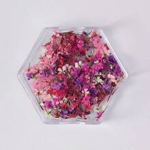 混色滿天星仿真乾燥花美甲飾品葉簇 春夏美甲用品 3D人造花美甲藝術裝飾指甲飾品 - 彩色 - 查看 14