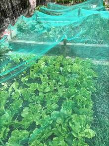 多用途防护网，适用于果园、家禽养殖、水产养殖、果树、温室、空中防护网、渔网、花园和农场棚架网 - 605cm*600cm - 查看 3