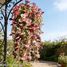 2 bông hoa bình minh nhân tạo chống tia UV, có màu hồng và đỏ hồng, thích hợp trang trí nhà cửa trong nhà/ngoài trời, vòng hoa cửa, trang trí đám cưới, Ngày của Mẹ, trang trí sân vườn mùa xuân/hè, trang trí cây cảnh nhân tạo ngoài trời. - Nhiều màu - Xem 3