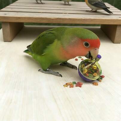 1pc Parrot Feeder Puzzle Toy, Interactive Bird Feeding Toy, Anti-Spill Food Dispenser - Parrot Foraging Pet Toy