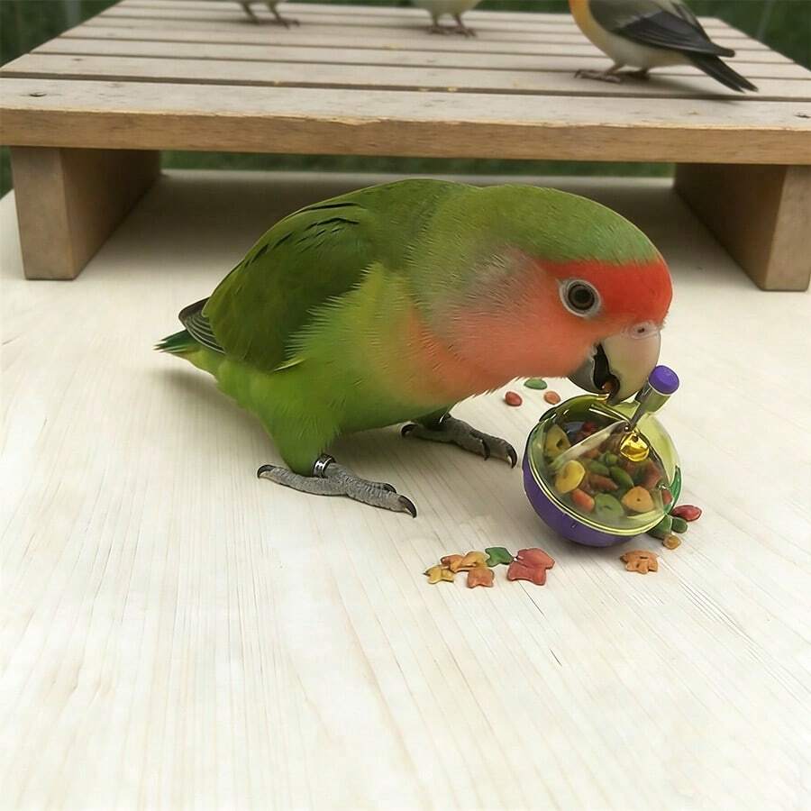 1个鹦鹉喂食器益智玩具，互动式鸟类喂食玩具，防溢食物分配器 - 鹦鹉觅食宠物玩具 - 查看 1