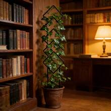 4件套现代几何造型花架 | 时尚几何植物支架 | 室内/室外攀援植物花架雕塑 - 美观的雕塑结构，适用于马来西亚铁木、常春藤或玫瑰，增添现代装饰效果 - 幾何菱形 - 查看 6