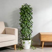 4 Giá đỡ giàn leo hình học hiện đại | Giá đỡ cây hình học thời trang | Giàn leo cây trong nhà/ngoài trời - Cấu trúc điêu khắc thẩm mỹ phù hợp cho cây lim Malaysia, thường xuân hoặc hoa hồng, tạo hiệu ứng trang trí hiện đại. - hình thoi hình học - Xem 10