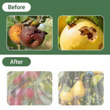 Techigher Large Fruit Tree Netting, Reusable Garden Netting With Drawstring And Zipper, 240 X 240cm/300 X 300cm Insect Bird Netting For Fruit Trees, Protection From Anti Birds, Bugs, Cicadas - 4 Pack, 240*240cm - View 4