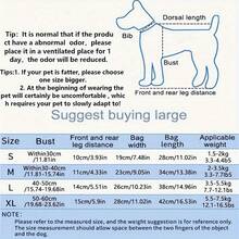 Comfortable Pet Carrier Backpack For Small Dogs And Cats - Legs Out Travel Bag With Front Carrier For Easy Transport And Hands-Free Convenience - WHITE(Upgraded) - View 4