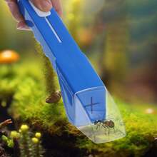 Handgehaltener Insektenfänger, Outdoor-Erkundungs-Insektenbeobachtungsbox - A - Übersicht 3