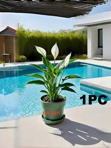 Bộ cây nhiệt đới nhân tạo: Được thiết kế với khả năng chống tia UV và chống thấm nước, phù hợp cho môi trường ngoài trời và ẩm ướt. Những cây và hoa xanh sống động như thật này được làm từ chất liệu PE/PVC chất lượng cao, mang đến vẻ đẹp rực rỡ cho đạo cụ chụp ảnh, trang trí nhà cửa, phông nền đám cưới hoặc không gian căn hộ. - Nhiều màu - Xem 12