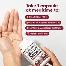 VPOAJ Physician's CHOICE Digestive Enzymes - Multi Enzymes, Bromelain, Organic Prebiotics & Probiotics For Digestive Health & Gut Health - Bloating & Meal Time Discomfort - Dual Action - All Diets - 30 CT - 100G - View 2