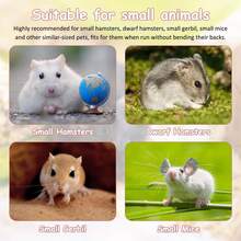 一套木制仓鼠跑轮/小型宠物跑轮/仓鼠玩具/落地式仓鼠跑轮/壁挂式+立式二合一/静音仓鼠跑轮/沙鼠跑轮，静音设计，防滑安全运动玩具，小型宠物活动玩具，仓鼠解闷神器，防水防霉，易于清洁 - 彩色 - 查看 7