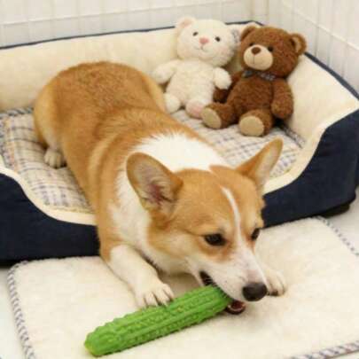 Pet Teething Toys Help With Teeth Cleaning And Relaxation, Relieve Boredom, And Are Made Of Plastic. They Are Comfortable, Durable, Easy To Clean, Stress-Relieving, And Provide Playful Fun For Pets.