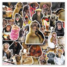50 PCs Handmade Funny Cute Crazy Monkey Waterproof Stickers DIY For Phones Laptop Skateboard Creative Graffiti Car Motor Sticker - Single Piece - View 7