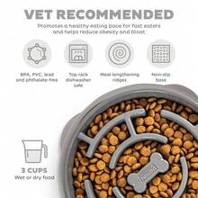 Slow Fun Feeder Bowl, Slow Feeder Dog Bowl, Gray, Large - 1 - Xem 3