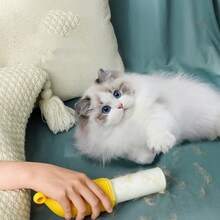 1pc Banana Shaped Lint Remover, 2-In-1 Multi-Functional Mini Reusable Lint Brush For Home & Pet - Banana - View 2