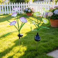 2PCS Solar Lanterns Outdoor Waterproof,Morning Glory Bathed In Warm Light, Solar Walkway Lights Outdoor ,Suitable For Gardens, Courtyards, Hallways, And Porches(Green + Purple) - Morning Glory - View 7