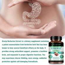 XEMENRY Berberine Capsules - Support Gut And Digestive Health, Promote Heart Health, Cholesterol Control, Regulate Blood Sugar Levels - 120pcs - Two bottle-More favorable - View 6