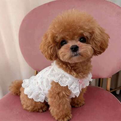 1pc Floral Dress For Small Pet Dogs, Lightweight For Spring/Summer, Suitable For Teddy, Pomeranian, Etc.