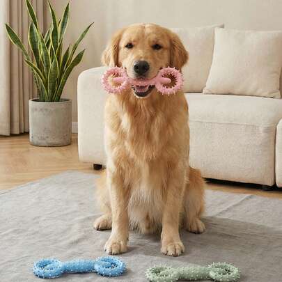 PETSIN 1pc Pet Toy Chew Toy With Pull Ring, Teething Stick Interactive Dog Toy