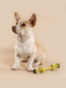 1pc Cotton Rope Pet Supplies, Dog Chew Toy, Cotton Rope Double-Knot Design, Dog Teeth Cleaning & Boredom Relief Toy - Multicolor - View 8