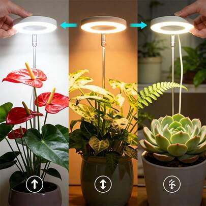 1个带自动定时器（3/9/12小时）的LED植物生长灯，高度可调，USB供电，适用于室内植物、幼苗、多肉植物，可用于家庭、办公室、阳台等不同种植场景。
