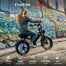WIND HORSE 16" Tire Electric Bike With 750W Powerful Motor For Teens, 20MPH, 65 Miles Range,48V Removable Battery,5 Riding Modes,Full Suspension All-Terrain E-Bike For Teens - Black - View 2