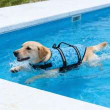 可调节反光大型犬救生衣 | 夏季宠物安全背心 | 增强浮力，适合游泳、冲浪和划船 | 让您的宠物在水中和海里尽情玩耍 - 彩色 - 查看 12