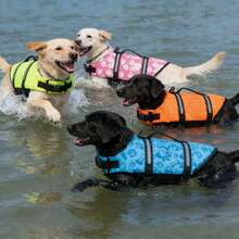 可调节反光大型犬救生衣 | 夏季宠物安全背心 | 增强浮力，适合游泳、冲浪和划船 | 让您的宠物在水中和海里尽情玩耍 - 彩色 - 查看 7