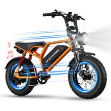 WIND HORSE 16" Tire Electric Bike With 750W Powerful Motor For Teens, 20MPH, 65 Miles Range,48V Removable Battery,5 Riding Modes,Full Suspension All-Terrain E-Bike For Teens - trái cam - Xem 11