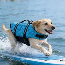 可调节反光大型犬救生衣 | 夏季宠物安全背心 | 增强浮力，适合游泳、冲浪和划船 | 让您的宠物在水中和海里尽情玩耍 - 彩色 - 查看 5