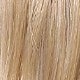 Blonde Highlight