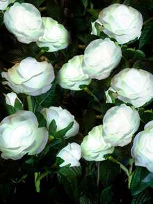 太阳能花园灯，7朵玫瑰花灯，防水布艺玫瑰 - 白色、红色、粉色玫瑰LED装饰灯，适用于小径、庭院、墓地 - 母亲节礼物，送给女性、妈妈、妻子 - 玫瑰 - 查看 5