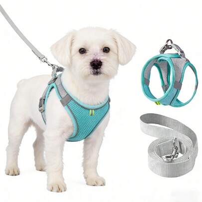 Reflective Dog Leash And Harness Set, No-Pull Dog Chest Harness And Leash Set, Step-In Adjustable Dog Chest Harness With Soft Padded Vest, Mesh Vest With Padded Lining Suitable For All-Weather, Dog Leash With Soft Padded Handle, Easy To Wear For Small To Medium Dogs, Solid Turquoise Color, With Dual D-Rings, Pet Collar - Anti-Choke Design