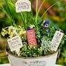 Plant Markers