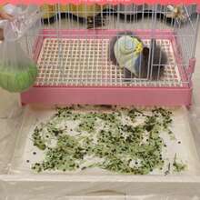 50pcs Pet Cage Pads, Disposable Plastic Litter Mats Suitable For Rabbit Cage, Bird Cage, Cat Litter Bags, Dog Pee Pads, Cleaning Pad Covers (Random Style) - White - View 6