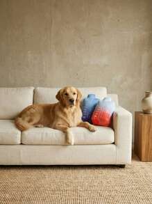 PETSIN 1 件 5*7 英寸涤纶可爱毛绒狗玩具 - 带吱吱叫声的搞笑模仿小狗玩具 - 狗狗生日礼物（蓝色） - 彩色 - 查看 5