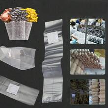 10pcs Mushroom Grow Bags, Plant Growing Tools - 10 - View 6