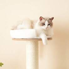 135cm Cat Tree, Oversized Trunk - Sturdy Climbing Tree, Three-Level Platform, 1 Cat Litter Box, 12cm Thickened Trunk, Removable Cushion And Spill Protection, Waterproof And Moisture Resistant - 白色 - 查看 9