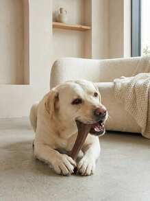 PETSIN 耐咬狗玩具 - 骨头形状互动式咀嚼训练棒，适合所有犬种的咀嚼玩具 - 互动式牙齿棒，坚固的聚乙烯材料 - 彩色 - 查看 5