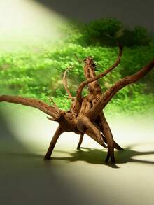 4 khúc gỗ lũa tự nhiên, gỗ cây đỗ quyên, thích hợp cho: Bò sát, môi trường sống cho thú cưng trong bể cá, trang trí bể cá - Hình dạng ngẫu nhiên, hình dạng có thể khác nhau, vui lòng đặt hàng cẩn thận - Nhiều màu - Xem 6