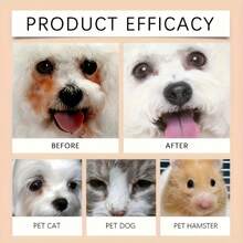 Battery-Free Pet Eye Cleaning Brush - Soft Non-Irritating Bristles, Removes Dirt And Secretions - Suitable For Poodles, Pomeranians And Cats - Multicolor - View 4