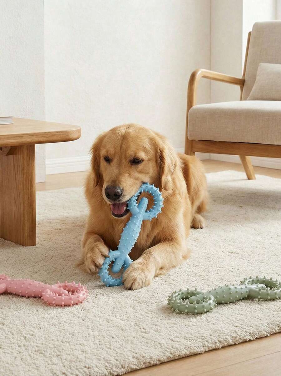 PETSIN 1 件宠物玩具咀嚼玩具带拉环，磨牙棒互动狗玩具 - 彩色 - 查看 1