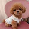 Knitted Fabric