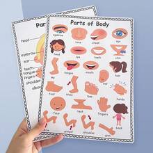 2 Pcs Body Parts Posters Kid Learning Cognition Card ,Preschool Posters Wall Charts Classroom Decorations Children's Room Wall Decor Decor A4 Educational Posters - Multicolor - View 8