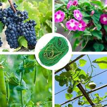 1 Pack Green Plant Climbing Trellis Net, Garden Support - 1 Pack - View 6