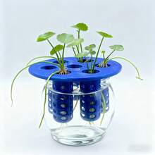 1个蒜葱水培种植盆，3D打印栽培模具，家庭园艺DIY用品，植物育苗盆 - A - 查看 4