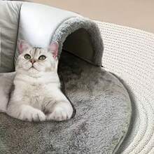 新款U型猫隧道，四季皆宜，猫窝垫猫隧道卷轴式聚酯猫窝，可拆卸水洗 - 彩色 - 查看 5