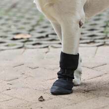 Botas protetoras macias e impermeáveis de tamanho grande para cães, adequadas para cuidar de feridas e respiráveis. - Preto - Ver 5