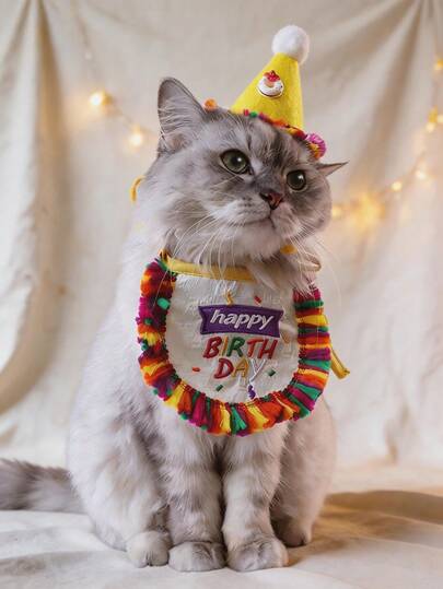 一套可爱宠物生日装饰套装，适用于猫狗——包含拍照道具围巾、刺绣字母流苏围兜和带有3D甜甜圈流苏装饰的生日帽。轻巧可爱，配有可调节松紧带，多种颜色可选。可搭配节日宠物服装，适合小型至中型宠物。