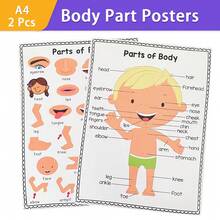 2 Pcs Body Parts Posters Kid Learning Cognition Card ,Preschool Posters Wall Charts Classroom Decorations Children's Room Wall Decor Decor A4 Educational Posters - Multicolor - View 9