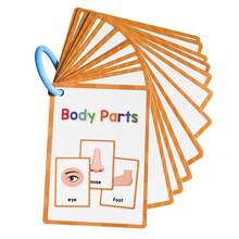 Lachilly 15 Cards Body Parts Cognitive Flash Cards Children Education Enlightenment English Learning Card Montessori Toys - Multicolor - View 12